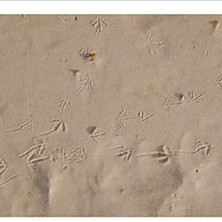 Review of 13 Friendly Numbers Review of 13 Friendly Numbers