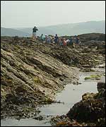 Rockpooling at Wembury
