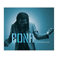 Review of The Ten Shades of Blues Review of The Ten Shades of Blues