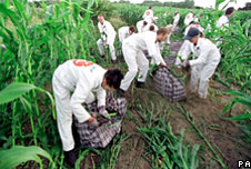 Environmental protesters