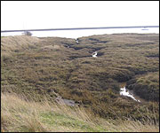 Final resting place of HMS Beagle