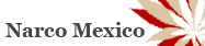 Narco Mexico