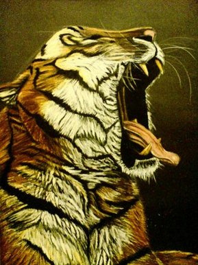 Late nights early mornings