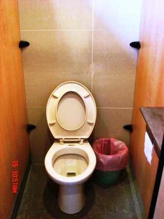 The sitting toilet