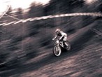 Mountain biking. Image copyright Terrid.