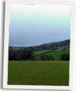 Golygfa o ardal y Plu