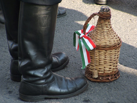 Hungary,folk,festival,wine,boots
