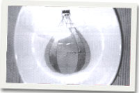 Y ddysgl gyda'r llun yn dangos y balŵn