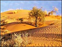 Poušť Kalahari