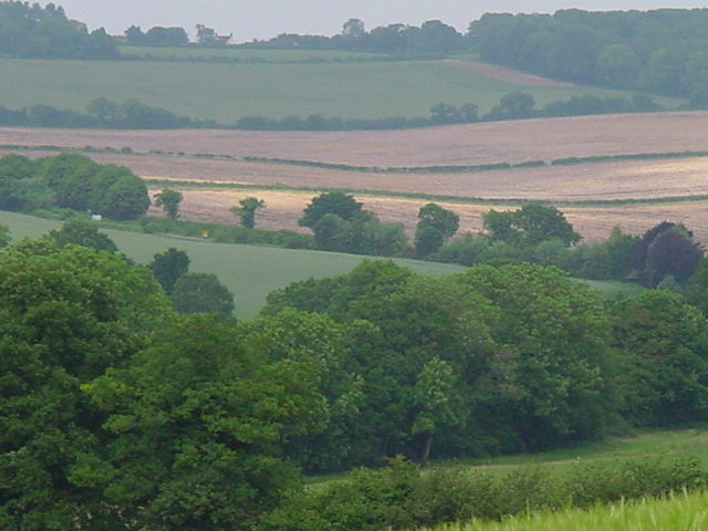 View from behind my house.