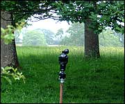 Remote controlled mini camera 