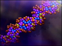 در اين جزيره DNA يا (دی-ان- ای) بافت ژنتیکی 