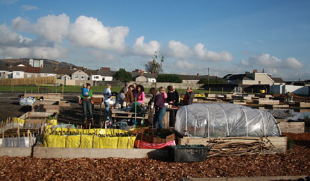 The Vetch Veg project, Sandfields
