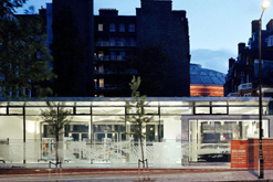 Royal Geographical Society