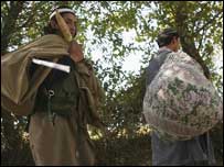 سوات میں طالبان