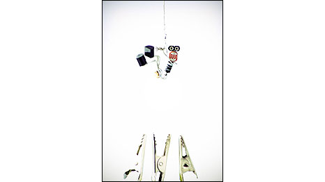 (Foto: Lenny & Meriel Lenfesteys)