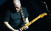 David Gilmour