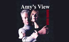 Amy's View image 
