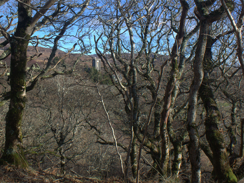 Colour view of St Mary's Church, Arisaig. The tall, Gothic-style church tower can just be glimped through thick tree cover.