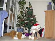 Tigger and Clive sitting under the Christmas tree