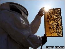 Beekeeper