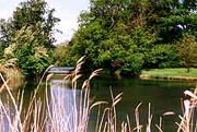 Buckland House Lake