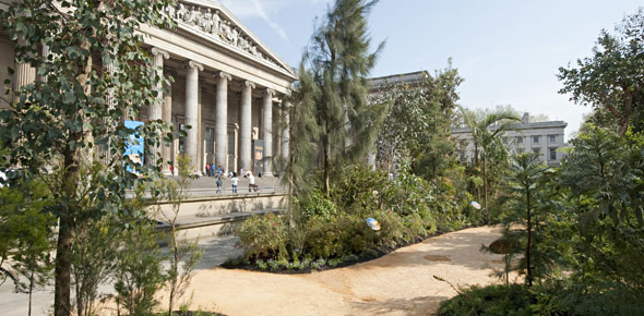 RBG Kew Australian Landscape at The British Museum 