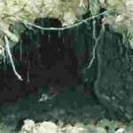 The tunnel behind the protective door - taken in the early 1990's