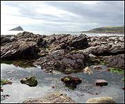 View of the Great Mew Stone from Wembury