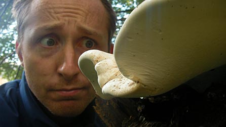 jody_fungus.jpg