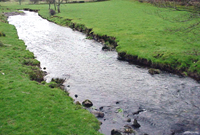 Afon Cwm Gwaun