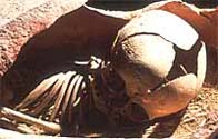 An image of the skeleton of an infant, found in an amphora at Lugnano