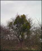 The Andes in South America