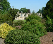St Mary's Abbey, York