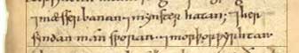 Her syndan mannslagan and maegslagan and maesserbanan and mynsterhatan, and her syndan mansworan and morthorwyrhtan