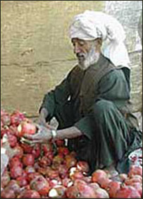 کرنيز کوپراتيف