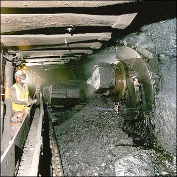 photo gallery picture