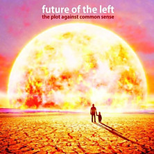 Review of The Plot Against Common Sense Review of The Plot Against Common Sense