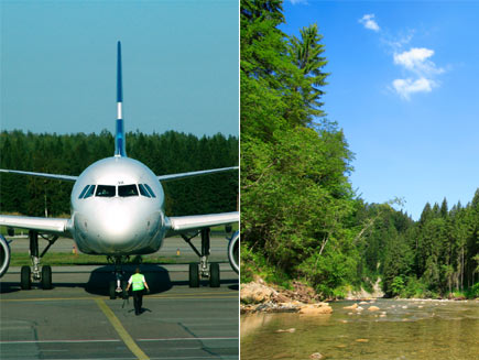 First half: Front nose of a plane. Second half: Image of forest offsetting pollution from aeroplane emmissions.
