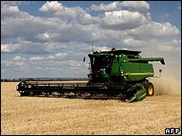 فصل کی کٹائی