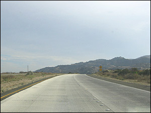 شيوا اميرحسينی