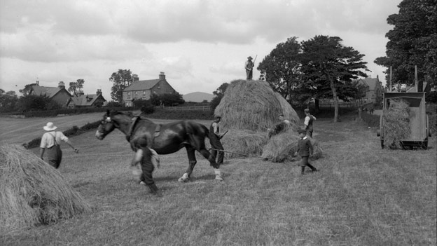 Black and white view of farm workers leading a horse, while others gather hay into stacks.