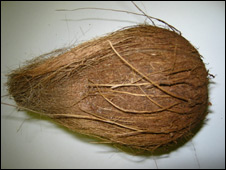 A coconut