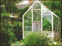 Greenhouse