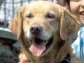 Click for More Pictures