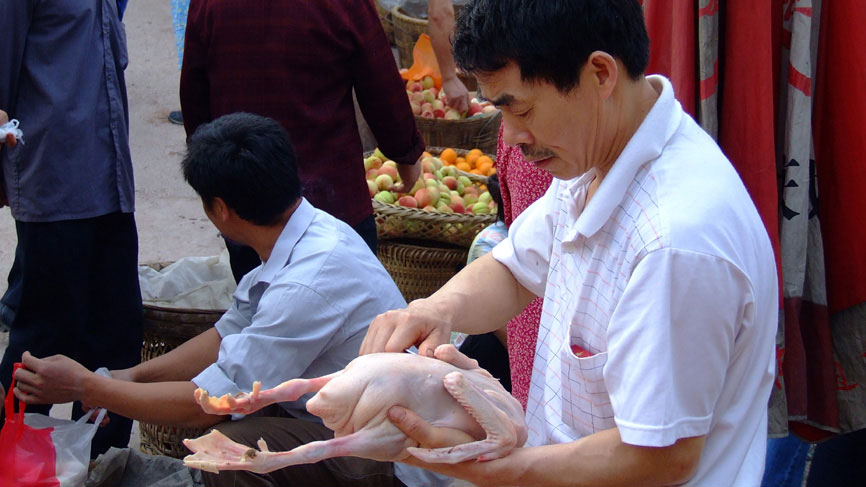 A man with plucked chicken at market - Bei Bei.