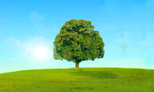 Who Do You Think You Are?