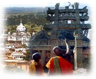 मध्य प्रदेश विधानसभा चुनाव