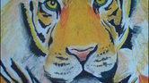 Tiger face- oil...