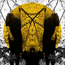 Review of Feel It Break Review of Feel It Break